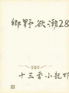 乡野欲潮28章
