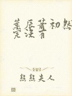 叶辰萧初然更新完没有封面