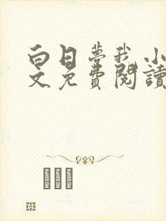白日梦我小说全文免费阅读封面