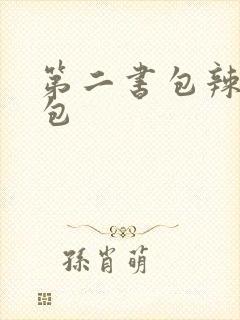 第二书包辣荷花包封面