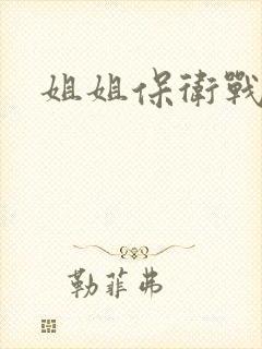 姐姐保卫战封面