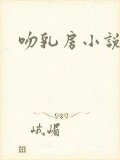 吻乳房小说