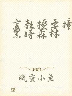 言教授要撞坏了黑暗森林封面