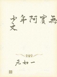 少年阿宾无删全文