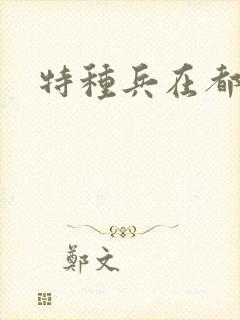特种兵在都市