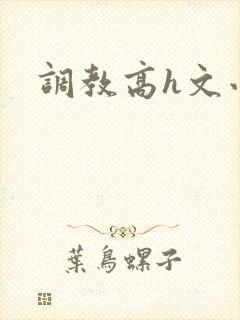 调教高h文小说封面