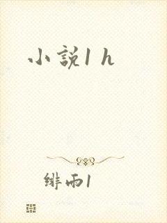 小说1 h