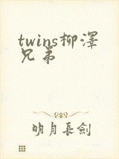 twins柳泽兄弟