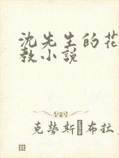 沈先生的花式调教小说