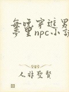 每晚穿进男神的梦里npc小说