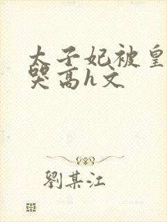 太子妃被皇上c哭高h文封面