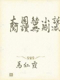 大团结小说在线阅读无删减