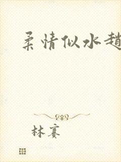 柔情似水赵雅儿