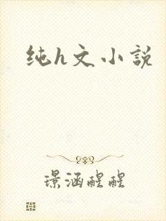 纯h文小说