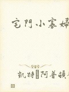 宅门小寡妇