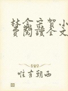 林念宋贺小说免费阅读全文最新章节更新