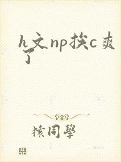 h文np挨c爽了