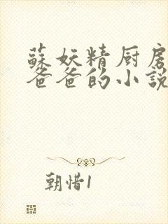 苏妖精厨房爹爹爸爸的小说