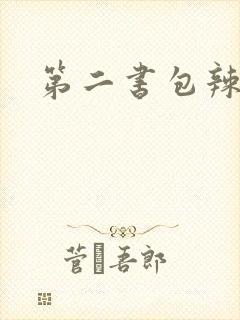 第二书包辣文