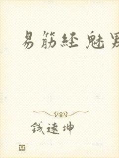 易筋经 魅男封面