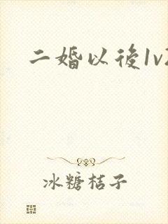 二婚以后1v2封面