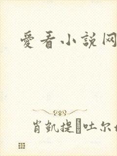 爱看小说网