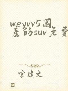 weyvv5国产的suv免费