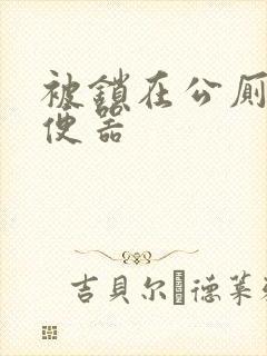 被锁在公厕当坐便器