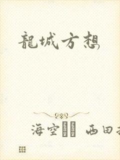 龙城方想封面