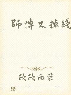 师傅又掉线了封面