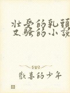 壮受的乳头又大又骚的小说