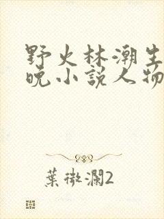 野火林潮生林晚晚小说人物野火
