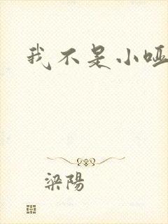 我不是小哑巴封面