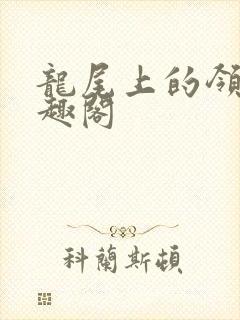 龙尾上的领主笔趣阁