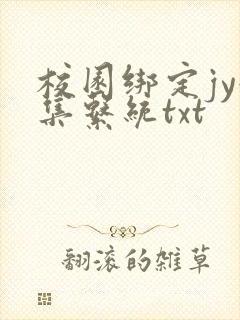 校园绑定jy收集系统txt封面