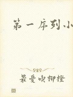 第一序列小说封面