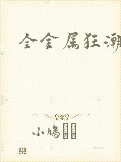 全金属狂潮小说