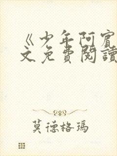 《少年阿宾》全文免费阅读封面