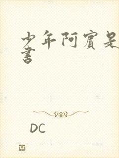 少年阿宾是什么书