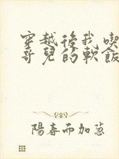 穿越后我吃到了哥儿的软饭炉山灰封面