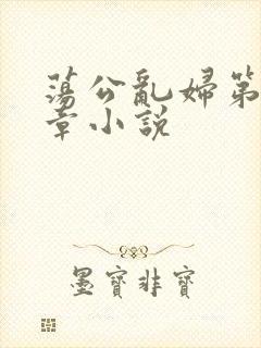 荡公乱妇第51章小说