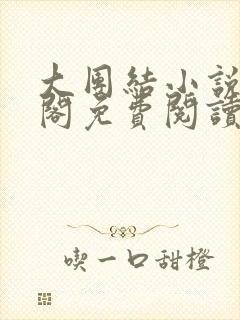 大团结小说笔趣阁免费阅读封面