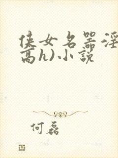 侠女名器淫史(高h)小说封面