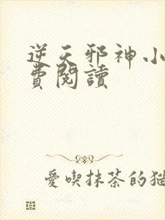 逆天邪神小说免费阅读封面