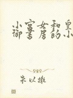 小宫女和皇上在御书房的小说叫什么