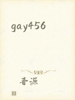 gay456封面