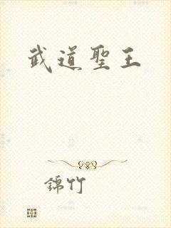 武道圣王