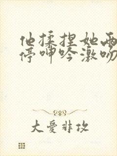 他揉捏她两乳不停呻吟激吻小说