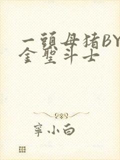 一头母猪BY黄金圣斗士封面