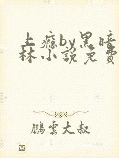 上瘾by黑暗森林小说免费